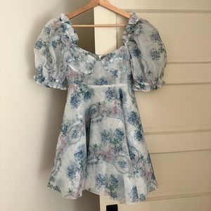 NWT SELKIE Parliament Dress in La Belle Etoile